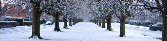 Winter. Photo taken 2004-12-21