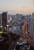 Tokyo skyline II - thumbnail preview